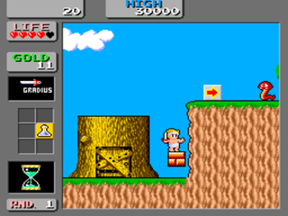 Wonder Boy in Monster Land
